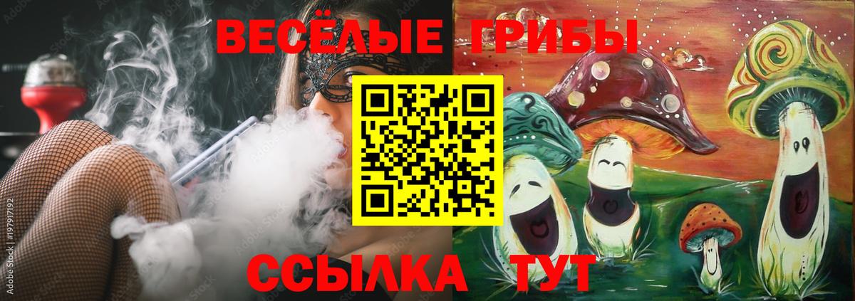 Галлюциногенные грибы прущие грибы Ногинск