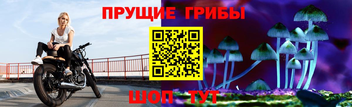 Галлюциногенные грибы Cubensis  Вход с VPN  Ногинск  Псилоцибиновые грибы Magic Shrooms 